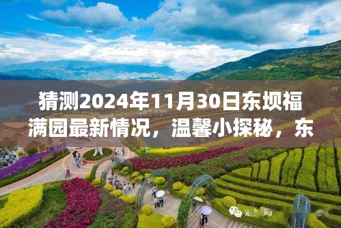 東壩福滿園未來展望，溫馨小探秘與明日奇遇揭秘（最新預(yù)測）