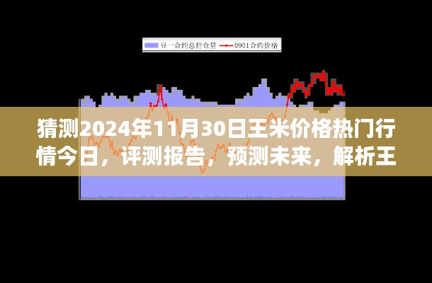 獨家解析，王米價格行情預測至2024年11月30日，今日熱門行情與未來展望評測報告