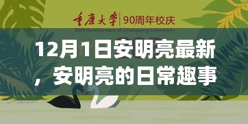 安明亮日常趣事，溫馨時光回顧，12月1日的精彩瞬間