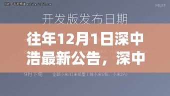 深中浩歷年公告深度解析，背景、事件與領域地位回顧之最新公告解讀