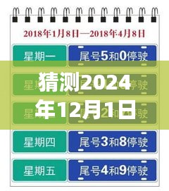 上海未來(lái)限行猜想，高架暢想曲與暖心故事，展望2024年12月的新規(guī)定