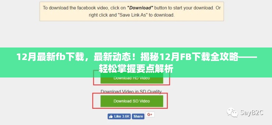 揭秘，最新動態(tài)下的FB下載全攻略，輕松掌握要點(diǎn)解析