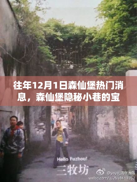 揭秘森仙堡隱秘小巷寶藏，十二月一日獨(dú)家新聞與特色小店的非凡魅力