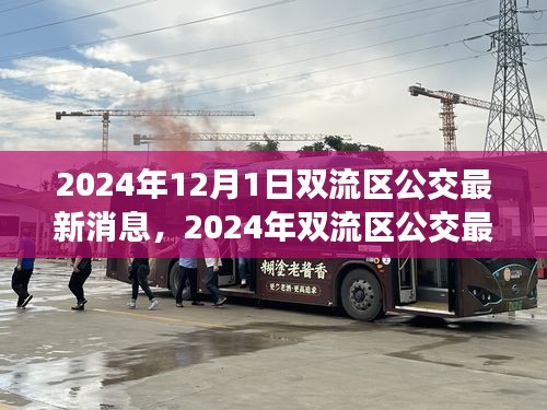 2024年雙流區(qū)公交最新消息詳解，獲取與使用公交服務(wù)的全面指南