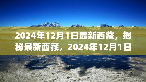 揭秘最新西藏，2024年西藏之旅的精彩瞬間（獨(dú)家報道）