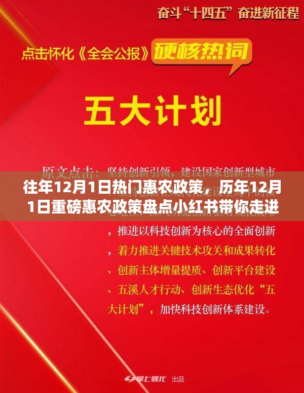 歷年12月1日惠農政策盤點，走進紅利時代的鄉(xiāng)村福利小紅書分享會