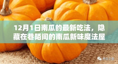 12月1日南瓜新味魔法屋，探秘南瓜盛宴的隱藏魅力