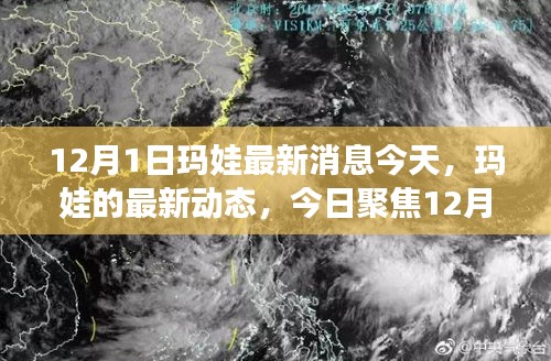 聚焦今日，瑪娃最新動態(tài) 12月1日消息