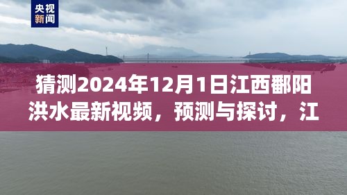 江西鄱陽湖區(qū)洪水現(xiàn)象觀察與預(yù)測，聚焦2024年12月1日的最新視頻探討