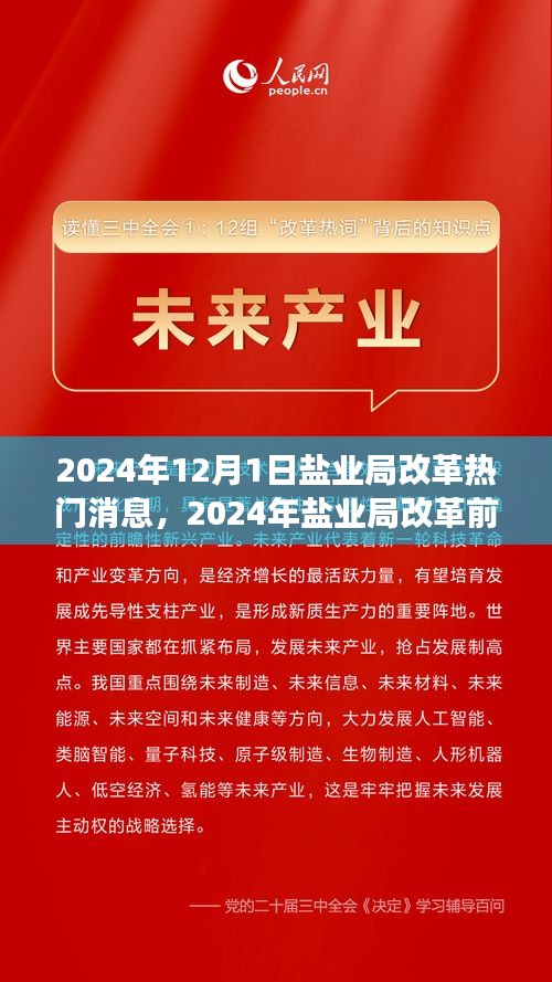 鹽業(yè)局改革前沿動態(tài)，創(chuàng)新策略與未來展望（2024年鹽業(yè)局改革熱門消息）