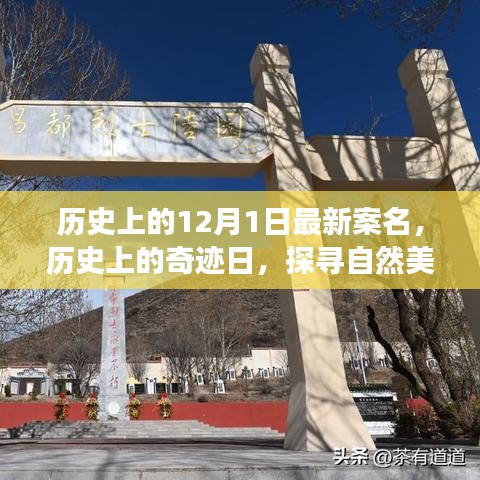 探尋奇跡日，歷史上的自然美景之旅與寧靜革命之路的探尋