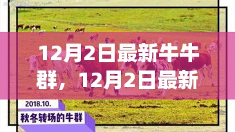 探索潮流社交新領(lǐng)地，最新牛牛群集結(jié)