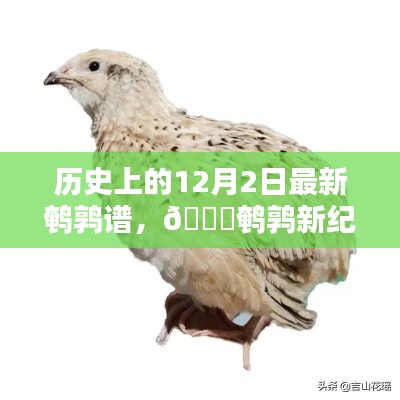 揭秘歷史上的鵪鶉新紀元，最新鵪鶉譜智能科技產(chǎn)品揭秘與回顧