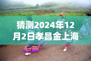 孝昌金上海2024年12月2日探尋自然秘境，旅行熱潮預測，奇妙之旅即將啟程