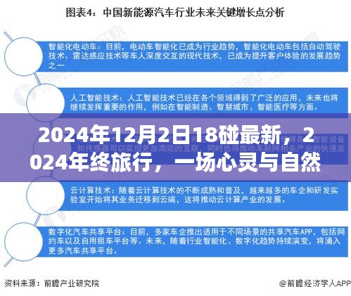 心靈與自然的碰撞，2024年終旅行記