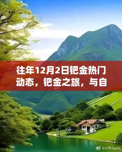 鈀金之旅，與自然美景相遇，探尋內(nèi)心寧靜的熱門動態(tài)回顧