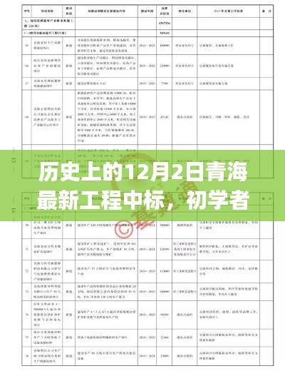 歷史上的12月2日青海最新工程中標(biāo)，初學(xué)者與進階用戶的全程指南