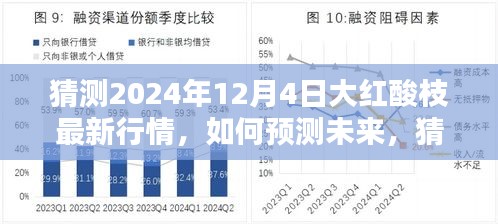 2024年預(yù)測(cè)，大紅酸枝最新行情展望與步驟指南