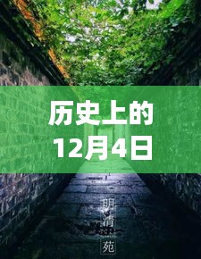 歷史上的12月4日潁上易景售樓盛況揭秘，巷陌間的夢幻售樓空間獨(dú)特記憶