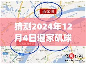 諶家磯球場最新動態(tài)展望，未來賽事猜想（2024年12月4日）