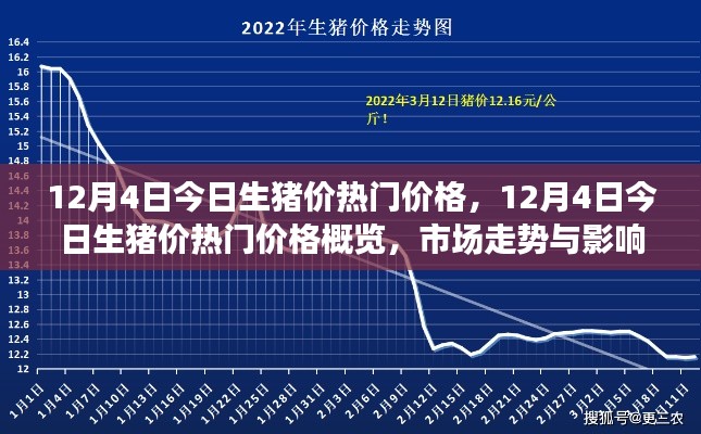 12月4日生豬價熱門概覽，深度解析市場走勢與影響因素