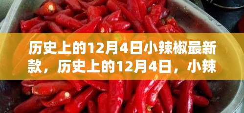 歷史上的小辣椒最新款誕生與影響，揭秘12月4日的獨特意義