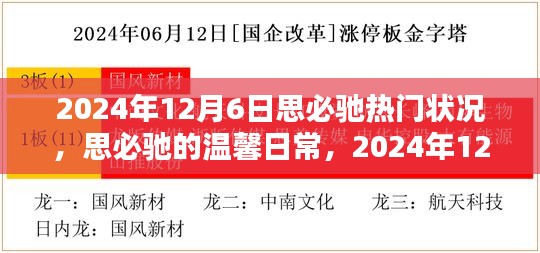 思必馳溫馨日常，揭秘2024年12月6日的奇妙時(shí)光