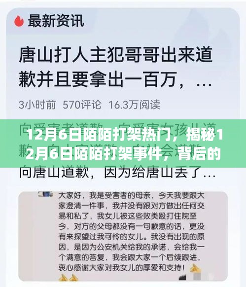 揭秘，12月6日陌陌打架事件背后的原因與影響熱議風潮