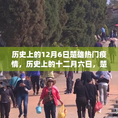 歷史上的十二月六日，楚雄疫情風云變遷回顧