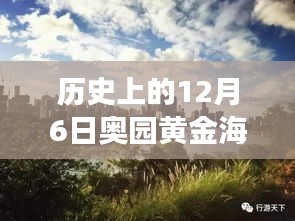 揭秘黃金海岸，歷史上的12月6日最新動(dòng)態(tài)與發(fā)展歷程揭秘