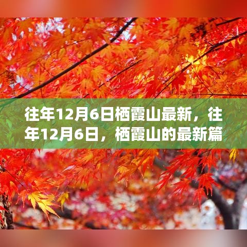 往年12月6日棲霞山深度解析，歷史、事件與地位的新篇章