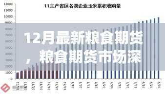 聚焦糧食期貨市場深度洞察，十二月最新動態(tài)與市場趨勢