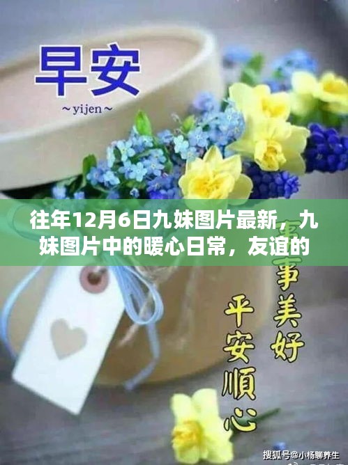 往年12月6日九妹圖片回顧，暖心日常與友誼的溫馨回憶