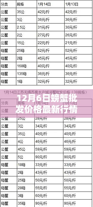 12月6日螃蟹批發(fā)價格最新行情，12月6日螃蟹批發(fā)價格最新行情詳解，入門指南與關鍵步驟