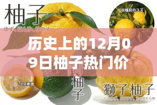 揭秘柚子歷史價格，柚子價格查詢?nèi)ヂ裕ㄟm合初學(xué)者與進(jìn)階用戶）