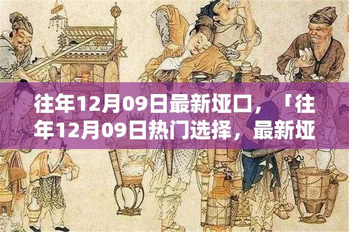 往年12月09日最新埡口產(chǎn)品評(píng)測(cè)與介紹，熱門(mén)選擇詳解