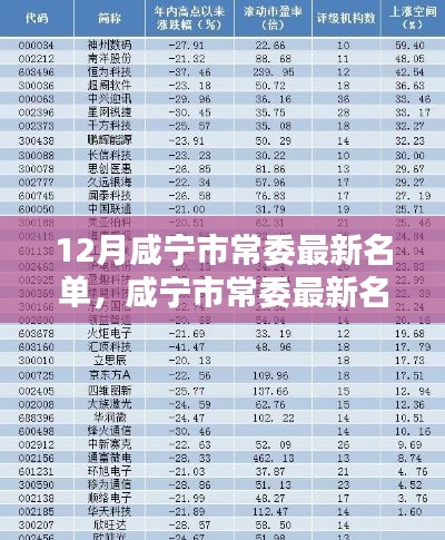 12月咸寧市常委最新名單，咸寧市常委最新名單科技新品亮相，智能時代，革新未來體驗