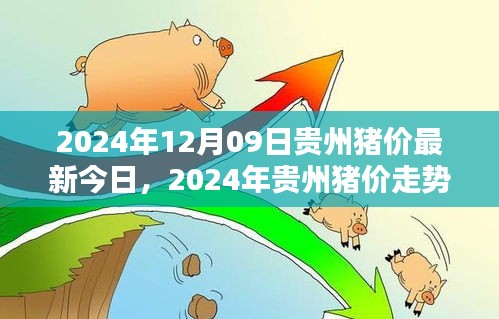 2024年貴州豬價走勢分析與深度探討，最新今日豬價及未來趨勢