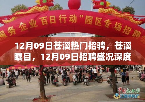 12月09日蒼溪熱門招聘盛況深度解析，矚目的人才市場(chǎng)概覽