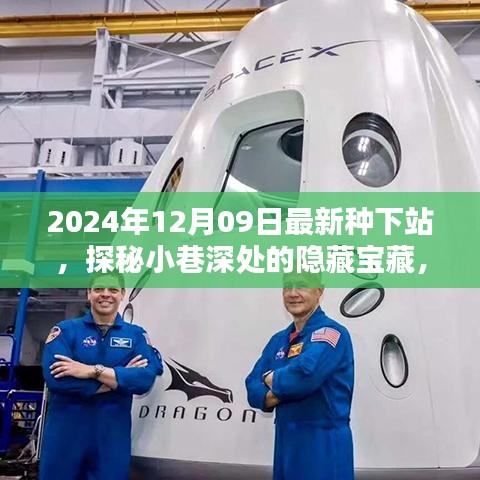 探秘最新種下站，小巷深處的隱藏寶藏與特色小店推薦（2024年12月09日）