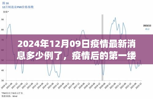 疫情最新消息下的自然美景之旅，啟程尋找內(nèi)心的寧?kù)o港灣（2024年12月09日）