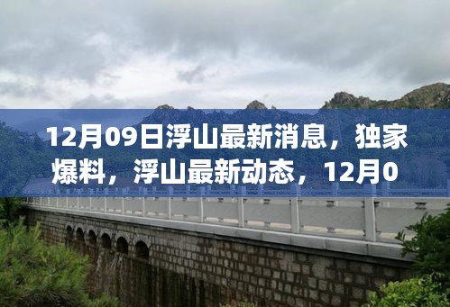 12月09日浮山獨(dú)家爆料，最新動態(tài)與震撼更新