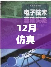 仿真之路，實(shí)時(shí)啟航，迎接自信與成就感的魔法時(shí)刻——十二月仿真需求解析