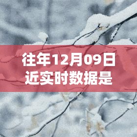 往年12月9日數(shù)據(jù)的魔法，溫馨回憶中的實(shí)時(shí)時(shí)光