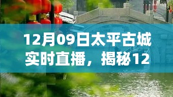 揭秘太平古城直播日，巷弄深處的獨(dú)特小店與探秘之旅