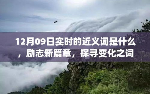 12月09日實(shí)時(shí)近義詞探索與勵(lì)志新篇章，探尋詞匯魔力，學(xué)習(xí)鑄就自信成就之橋