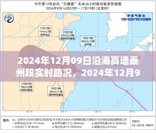 沿海高速泰州段實時路況分析與觀點分享，擁堵狀況下的多方視角