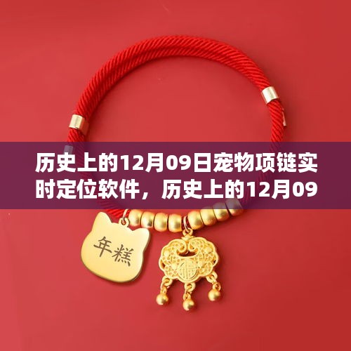 歷史上的12月09日，寵物項(xiàng)鏈實(shí)時(shí)定位軟件深度評(píng)測與介紹