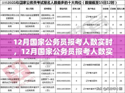 12月國家公務(wù)員報(bào)考人數(shù)實(shí)時(shí)分析與趨勢(shì)探討，數(shù)據(jù)、策略一覽