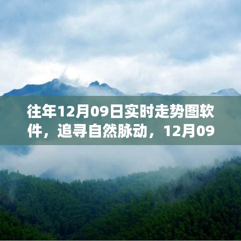 追尋自然脈動，12月09日走勢圖背后的心靈之旅與實時走勢圖軟件解析